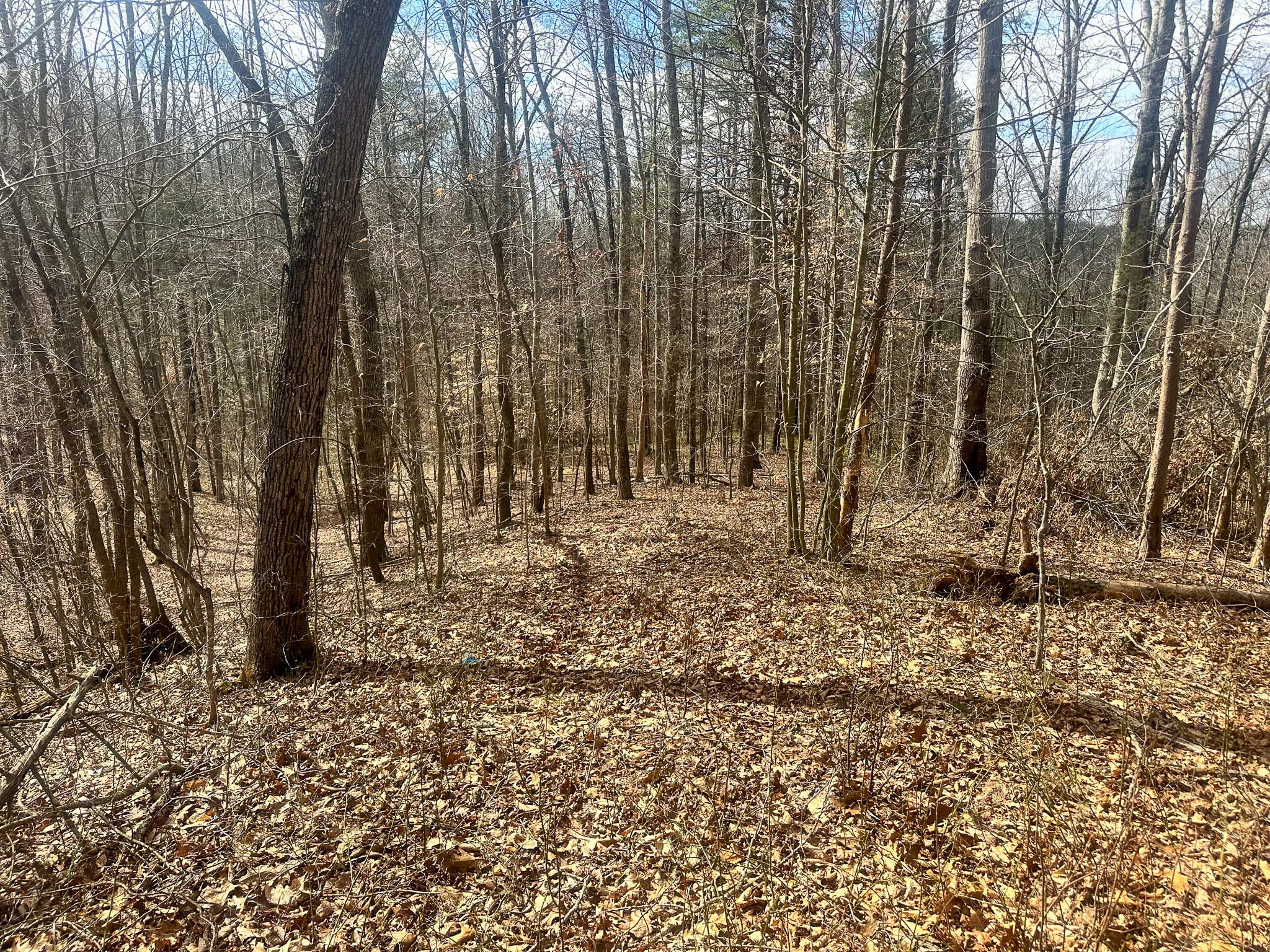 Terrain suitable for ATV trail setup