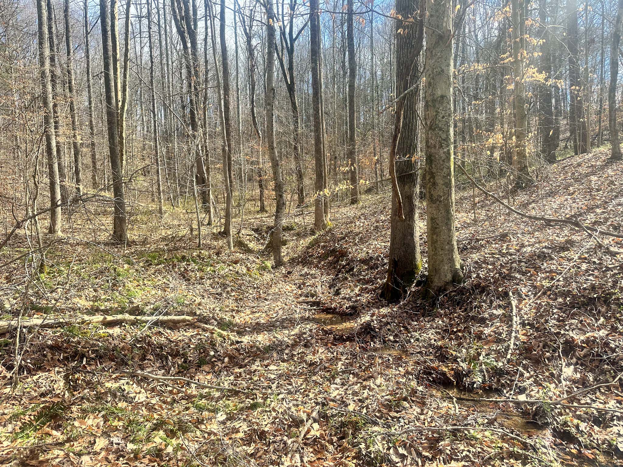 Cabin retreat near hiking and hunting land