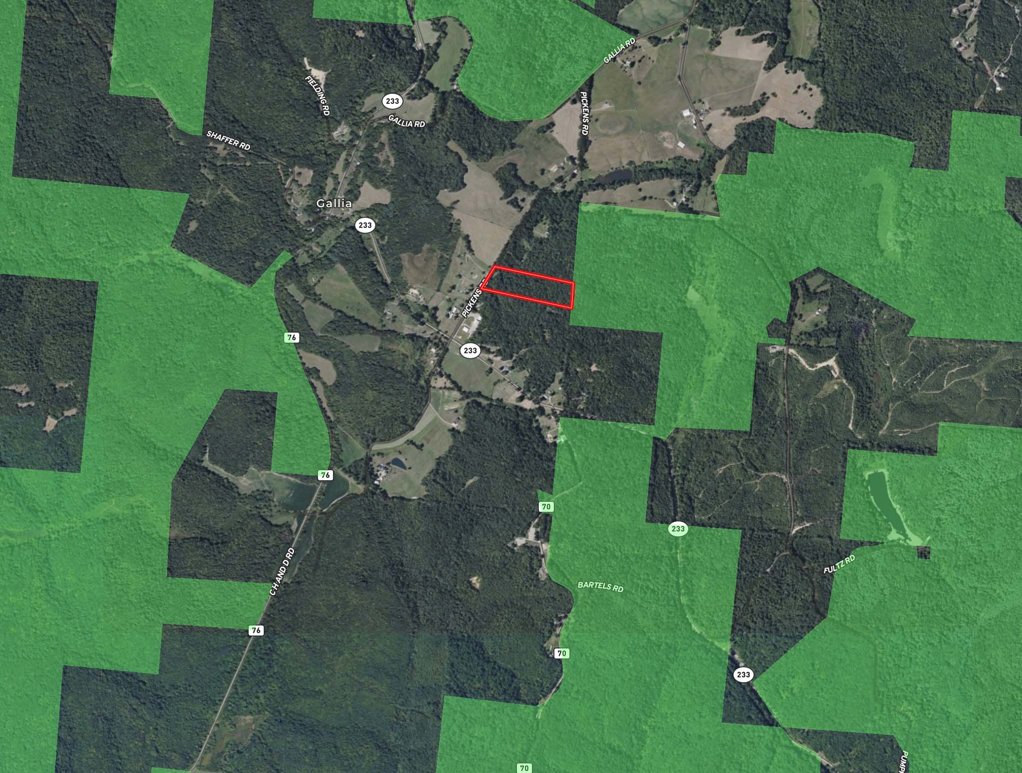 Drive entrance leading into wooded tract