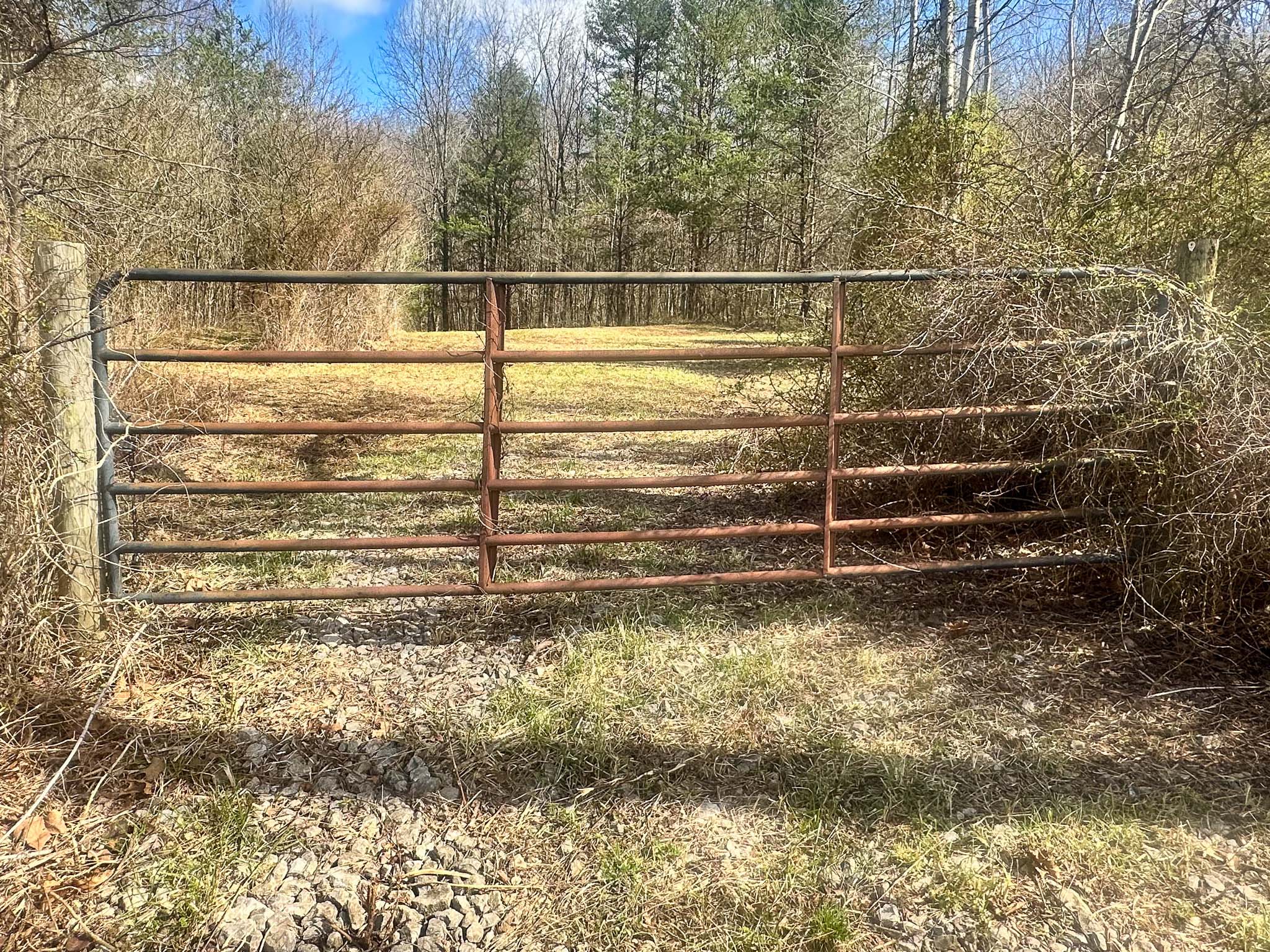 Open yard beside cabin retreat site