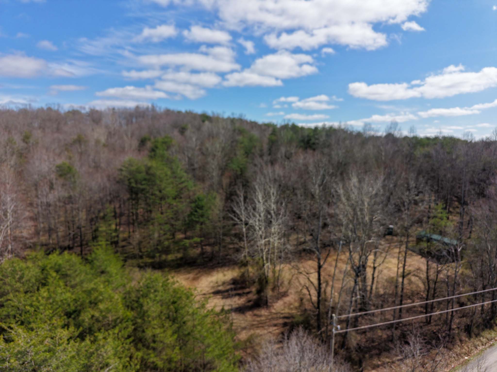 Flat yard area for camping or gathering