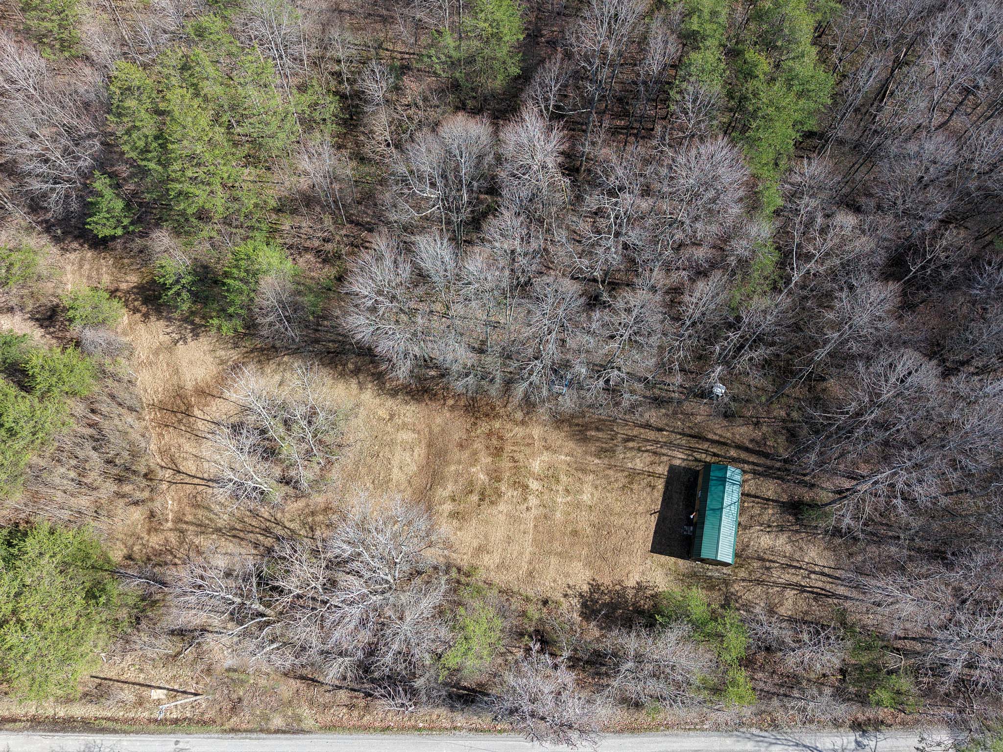 Wooded hillside on southern Ohio land