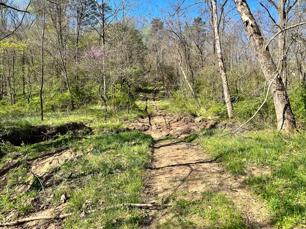 Aerial view of wooded acreage and surrounding land