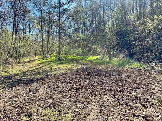 Trail system through timbered area
