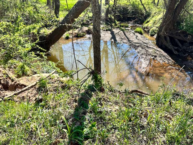 Additional wooded hollow view