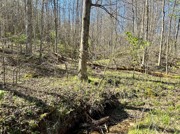 Open ground suitable for food plots