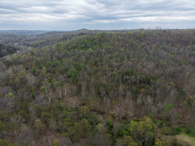 South facing slope with open space