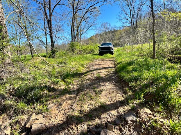 Bottom ground ideal for planting