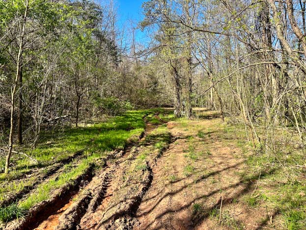 View across lower elevation terrain