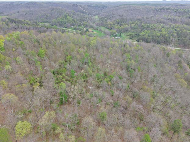 Higher elevation point on property