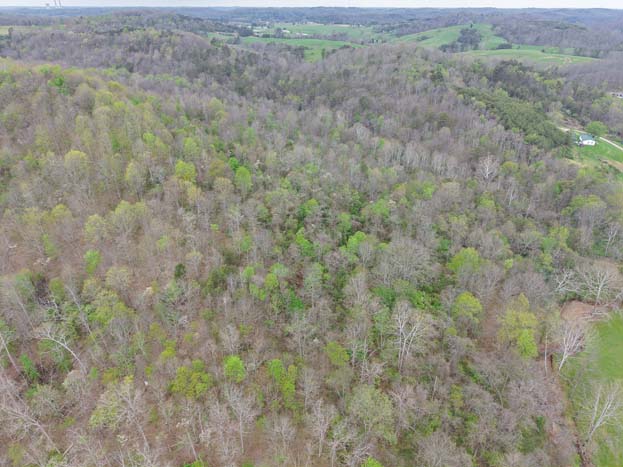 View from elevated ridge area