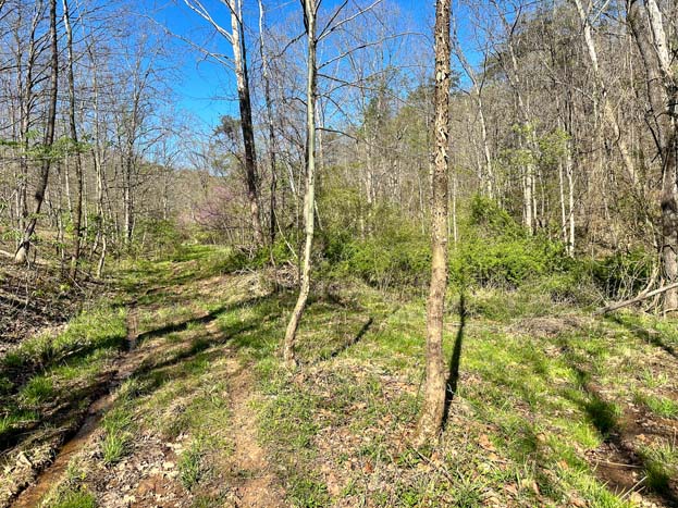 Trail suitable for ATV or side by side use