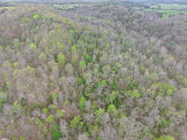 Terrain showing elevation changes