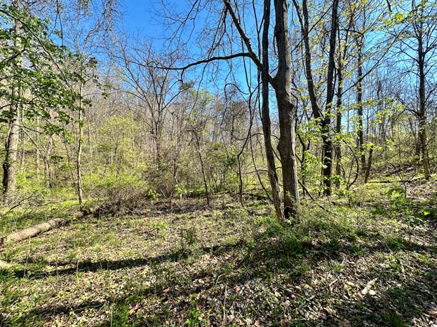 Gas line clearing along boundary