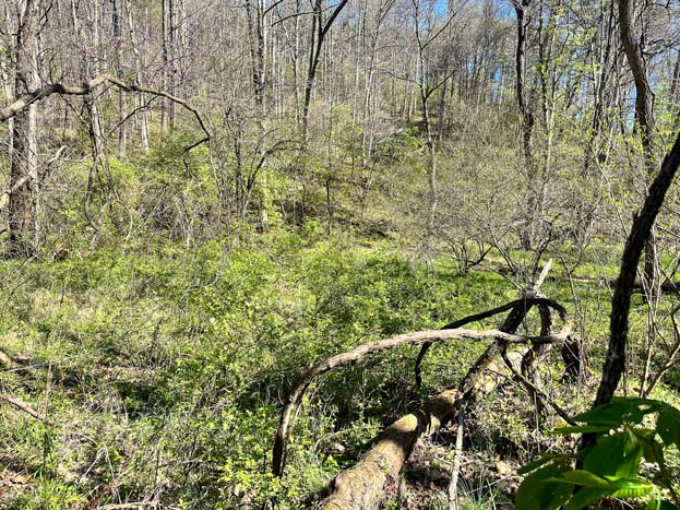 Pipeline corridor through property