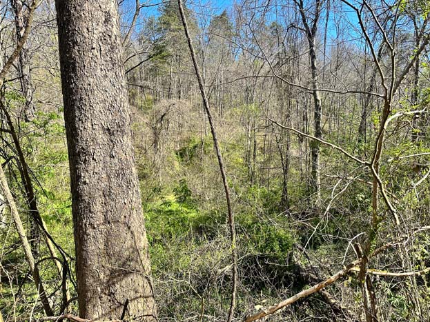 Area with potential access improvements