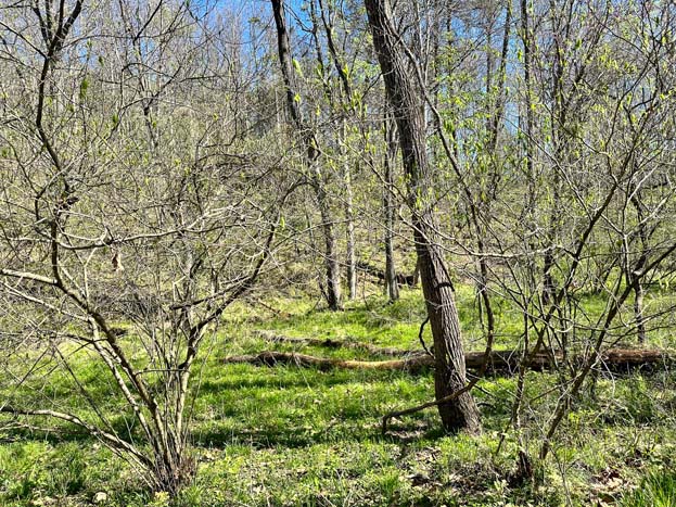 View toward nearby development activity