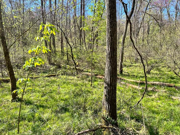 Wide aerial of surrounding countryside