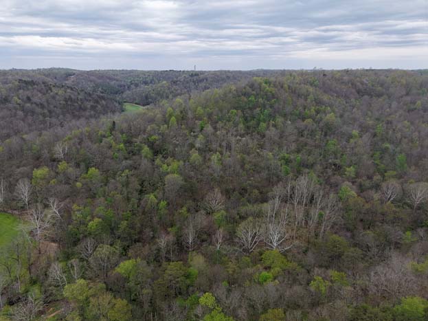 Country road near property entrance