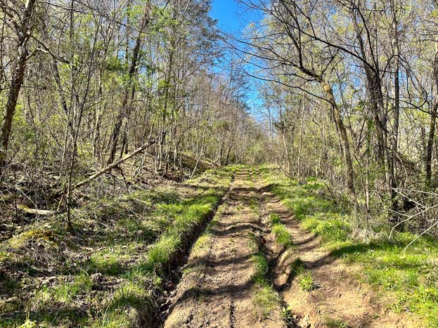 Secluded entrance into wooded acreage