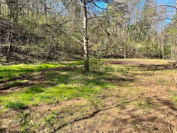 Creek crossing at property entrance