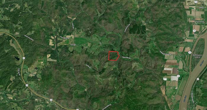 Wooded trail leading into property