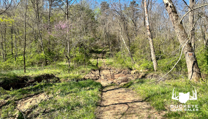 47+/- Acres, Racine, Ohio