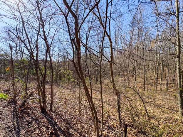 open pastureland ready to build