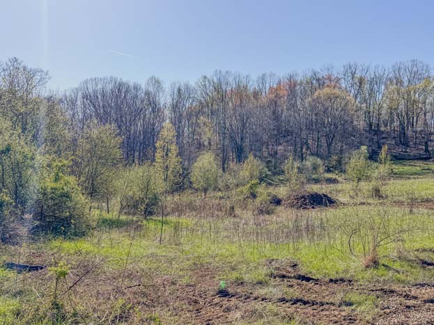 wooded lot ideal for hunting retreat