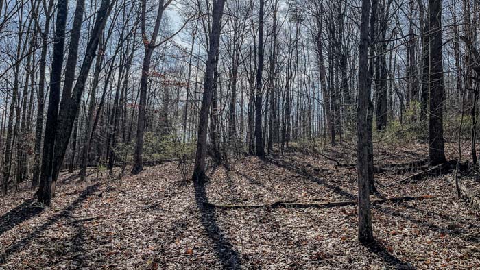 private tract of Ohio hunting land