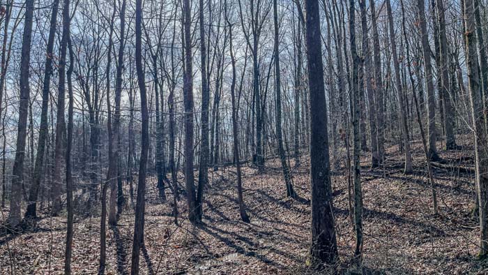 field with gently rolling terrain