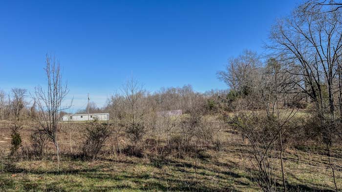 forested section perfect for camping