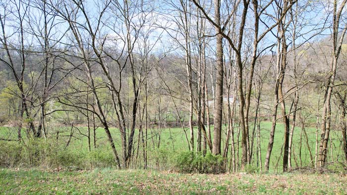 Near Scottown Diner in Ohio