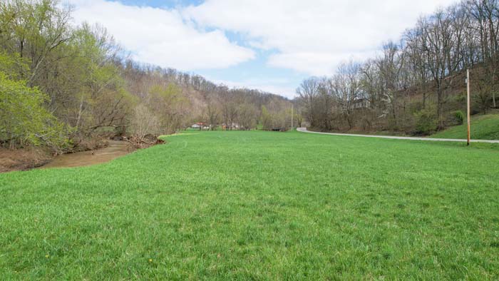 Roadside view of wooded parcel