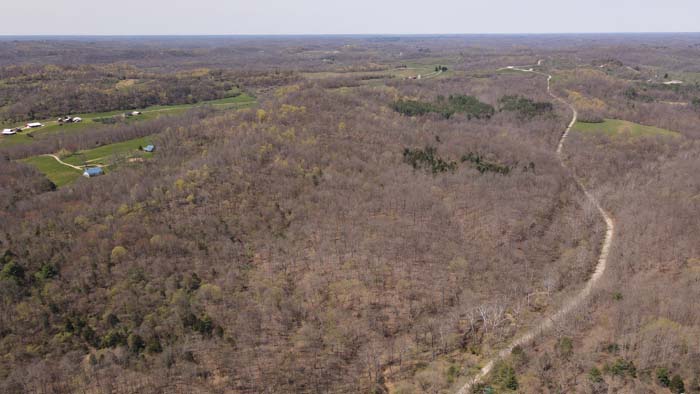 oak trees and wildlife habitat