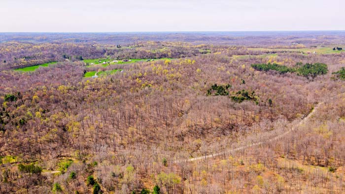 field opening for food plot or home site