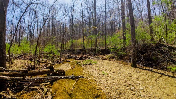 creekbed with rock-lined banks