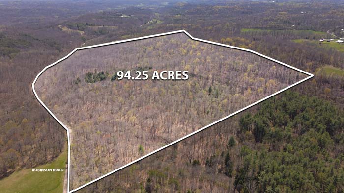 mature hardwoods on recreational land