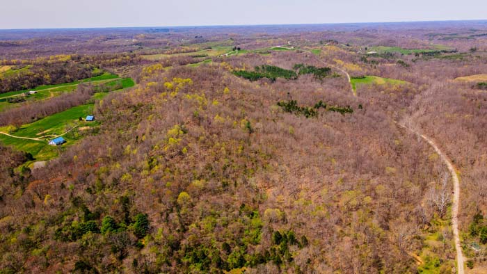 trail system throughout wooded acreage