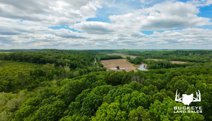 0 Salt Creek Rd 44+/- Acres, Millfield, Ohio, 45761