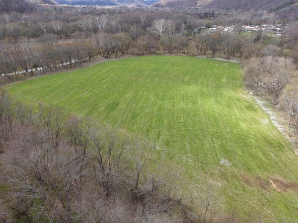 Mixed hardwood forest on acreage