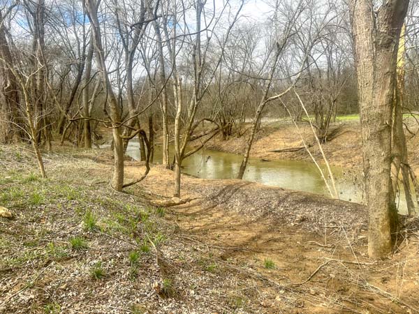 Wildlife habitat with water and timber
