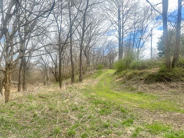 Traversable woods for hiking access
