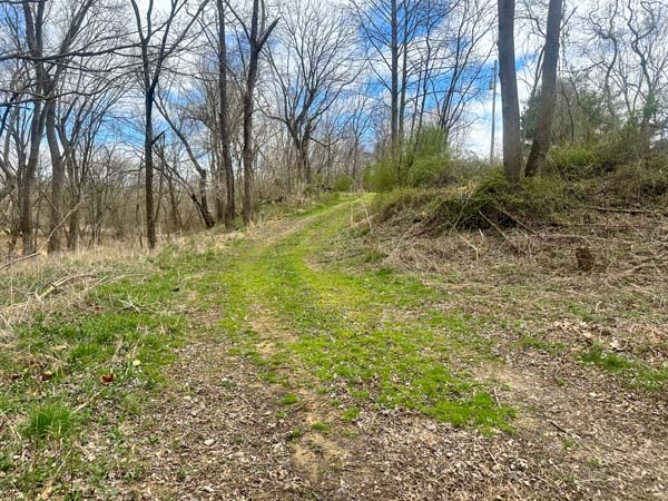 Natural drainage area holding water