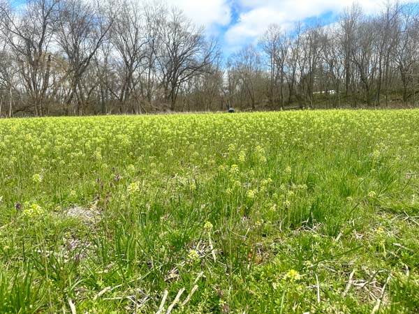 Aerial of land near Wheelersburg Ohio