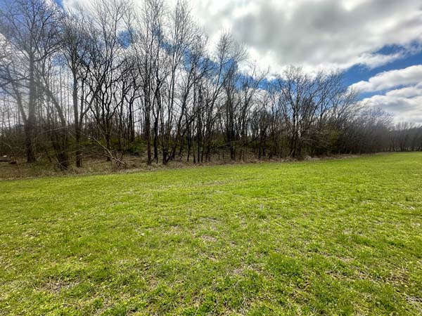 Wooded hunting property in Scioto County