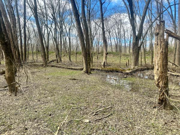 Remote wooded acreage with privacy