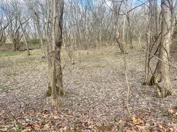 Timberland with recreational potential