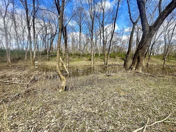 Natural water corridor through property