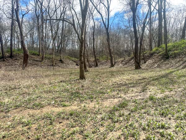Lowland habitat attracting waterfowl